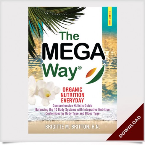 The Mega Way Volume 1 E-Book