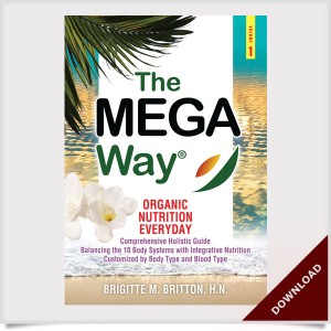 The Mega Way Trilogy E-Book