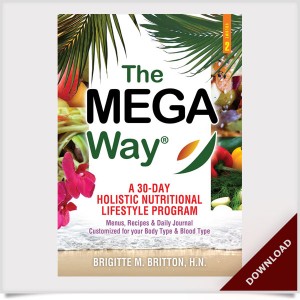 The Mega Way Volume 2 E-Book