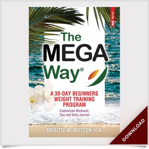 The Mega Way Volume 3 E-Book